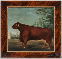 American School, 19th Century Portrait of a Bull