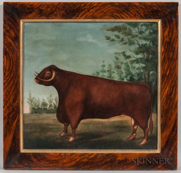 American School, 19th Century Portrait of a Bull