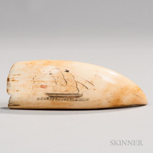 Scrimshaw Whale's Tooth with Image of an American Ship