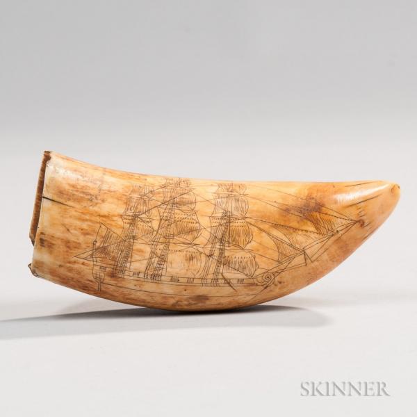 Scrimshaw Whale Tooth