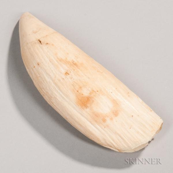 Whale's Tooth