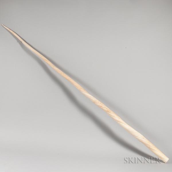Large Narwhal Tusk