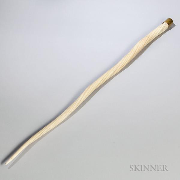 Narwhal Tusk